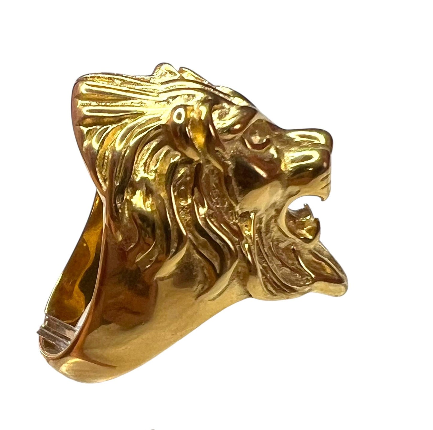 Anillo León