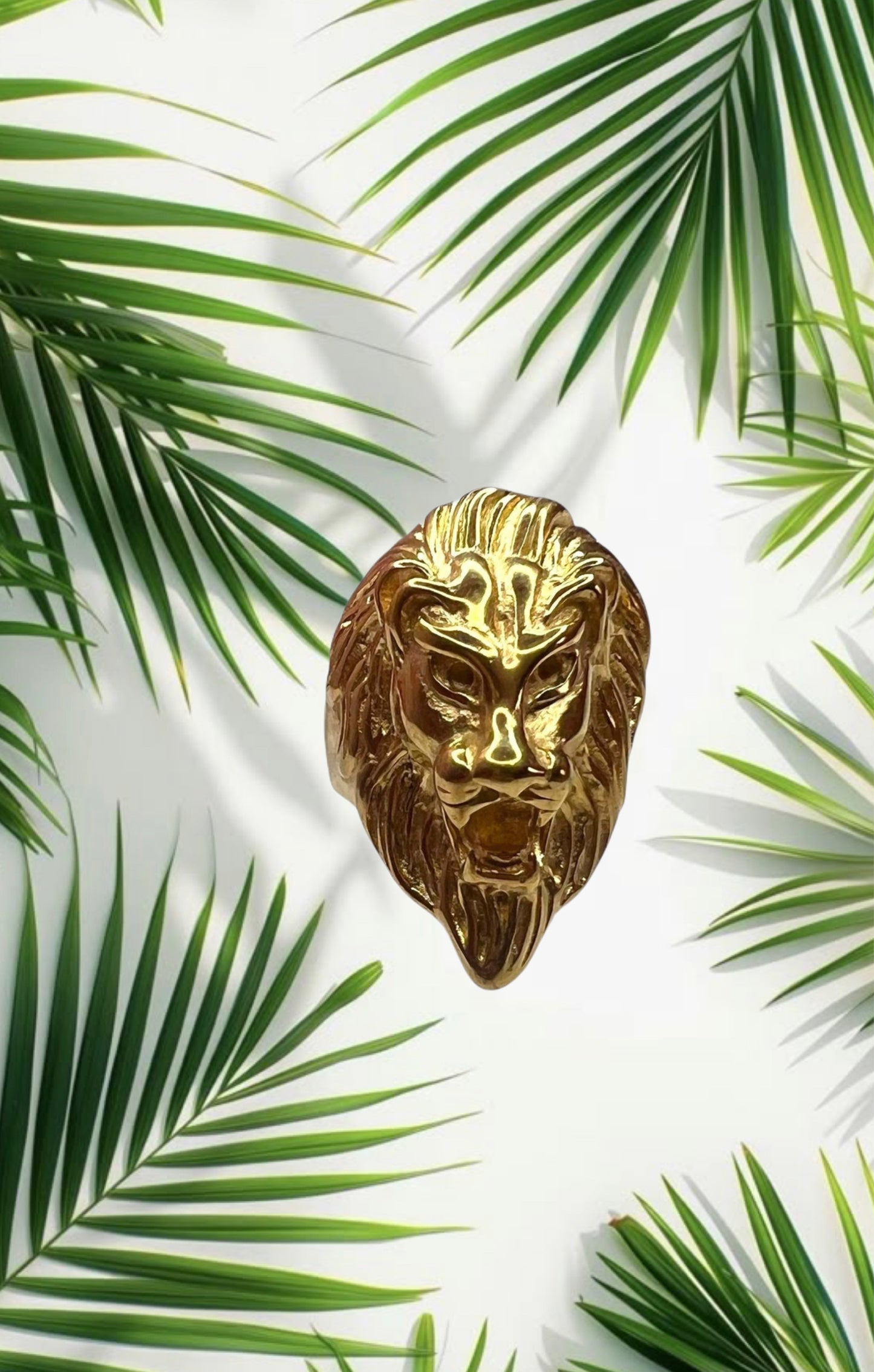 Anillo León