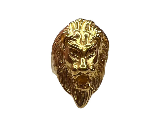 Anillo León