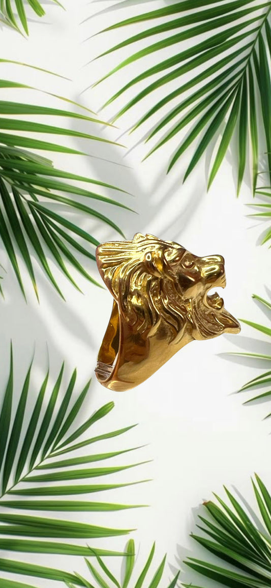 Anillo León