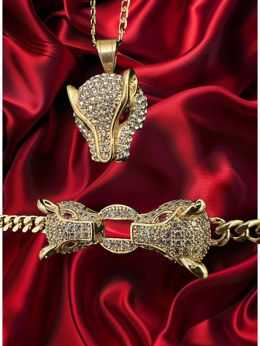 Alternativa  Conjunto Jaguar